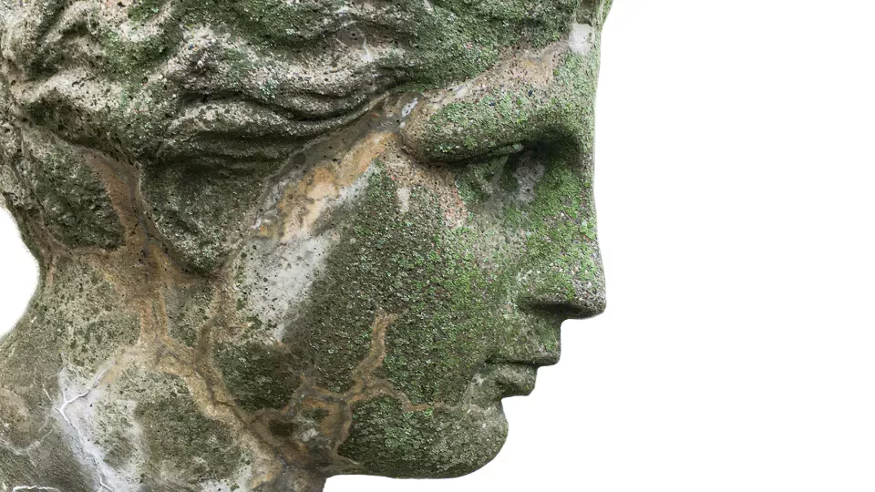 Kvinnohuvud i profil. Staty. 
