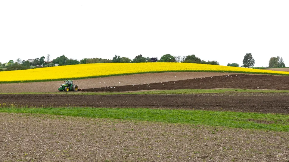 Traktor plöjer ett fält. Foto. 