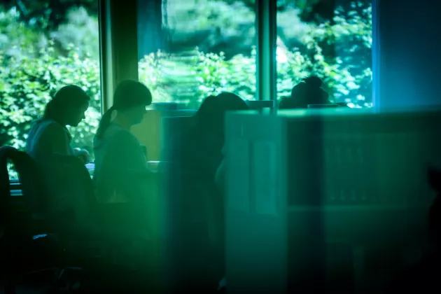Studenter studerar i ett gröntonat rum. Foto: Kennet Ruona.