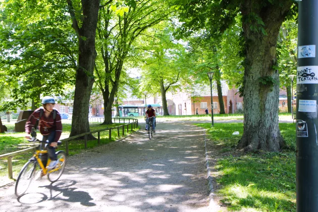 Cyklister i ett grönt Lundagård.