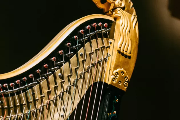En detalj av en harpa. Foto.