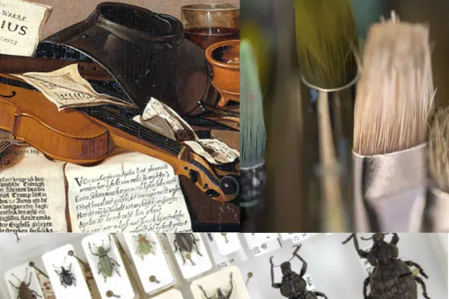 Kollage med bilder på en tavla, uppstoppade insekter och penslar