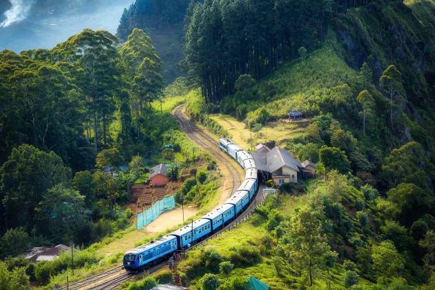 Tåg som kör genom landskap. Foto.