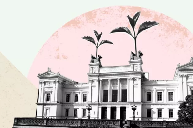 Universitetsbyggnaden med växter på