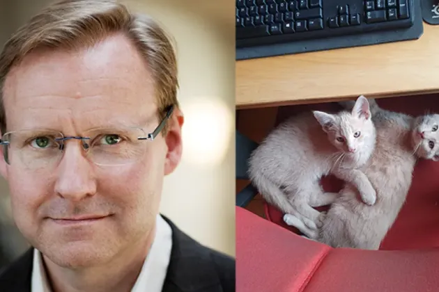 porträtt av en man och två kattungar.