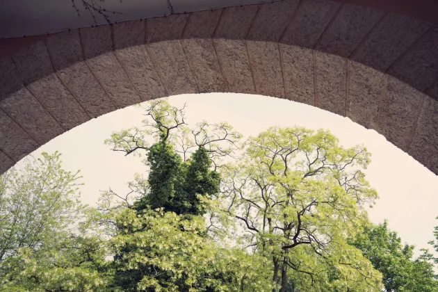 Valv med grönska om syns igenom.