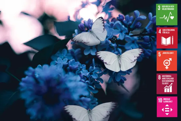 Blommor och fjärilar och vinjetter med de globala målen. Foto.