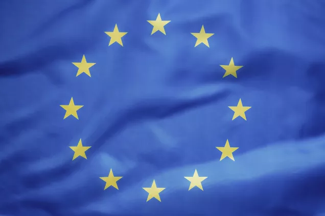 Den blå EU-flaggan med gula stjärnor i en cirkel. 