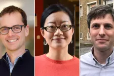 I år får totalt 308 forskare ERC Consolidator Grant. Tre av dessa är forskarna Daniel Bexell, Joan Yuan och Andreas Nilsson vid Lunds universitet. 