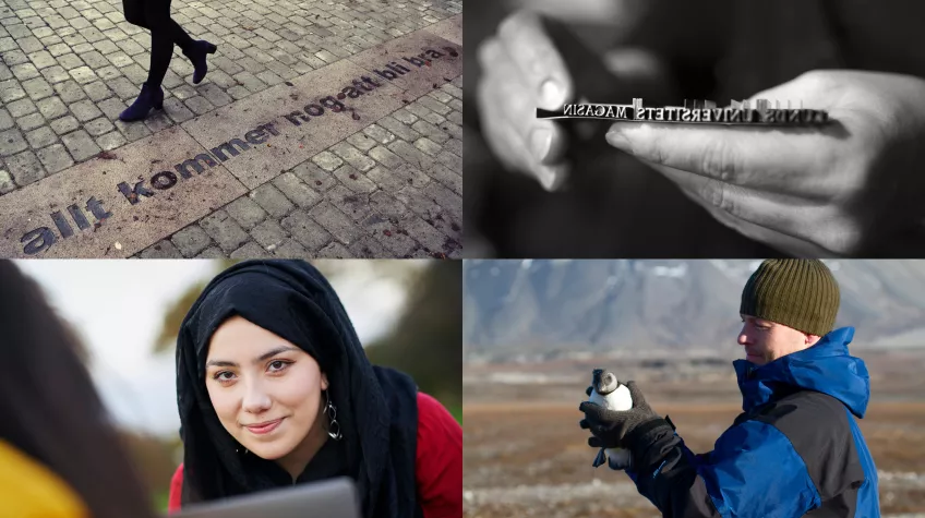 Bildkollage med exempelbilder som visar detaljminimering. 
