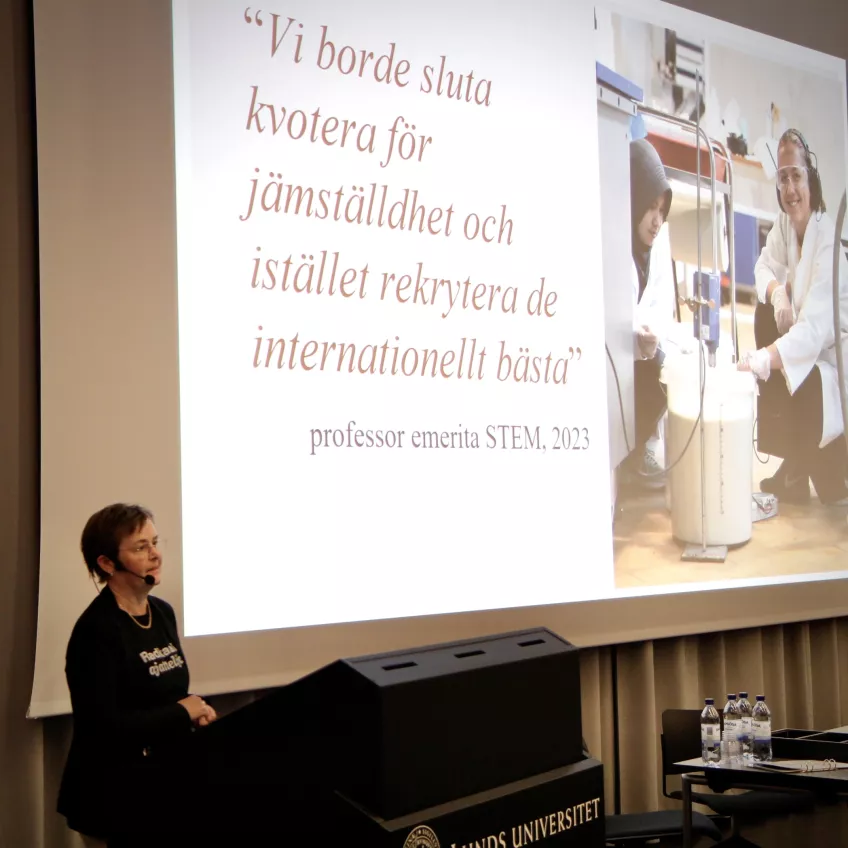 Annika Olsson framför sin presentation.