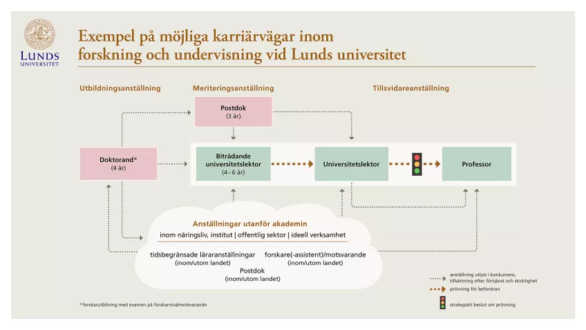 Skiss över karriärvägar inom forskning och undervisning på Lunds universitet