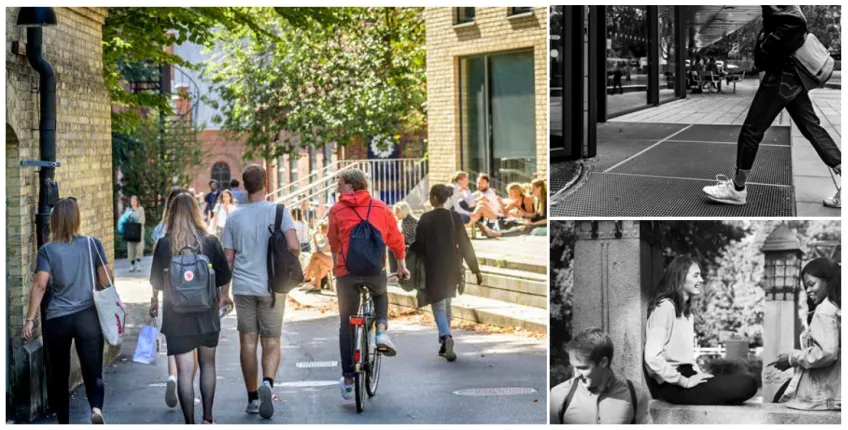 Kollage över studenter i olika utemiljöer.